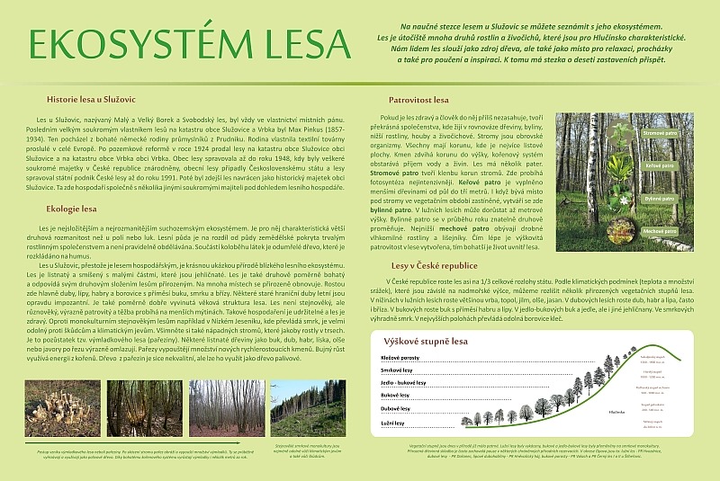 KUB-NT-001 Ekosystém lesa