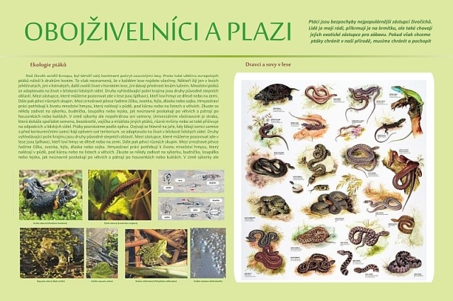 KUB-NT-009 Obojživelníci a plazi