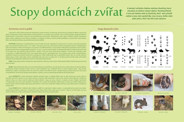 KUB-NT-015 STOPY DOMÁCÍCH ZVÍŘAT