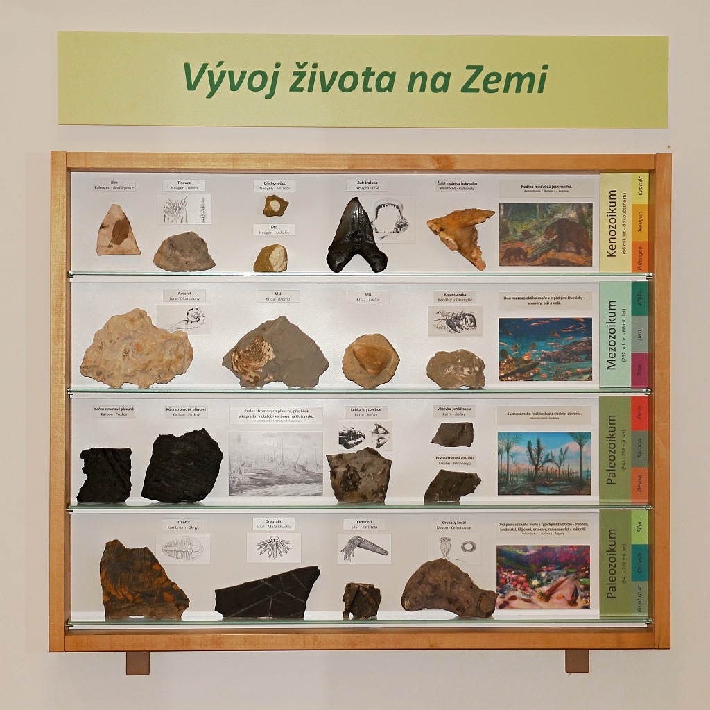 KUB-NV-003 VELKÁ VITRÍNA VÝVOJ ŽIVOTA NA ZEMI