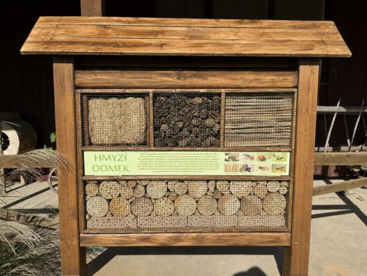 Insect house